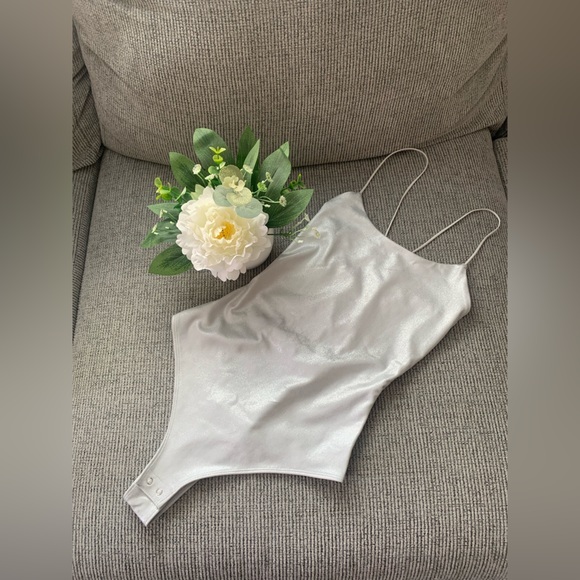 wild fable Other - NWOT Wild Fable Elegant Silver Women's Intimate Bodysuit